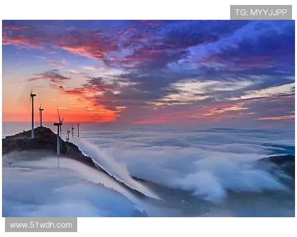 都市生活直播在线观看：实时体验城市脉搏